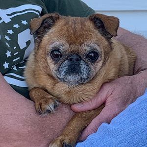 Meet your Posher, Julie